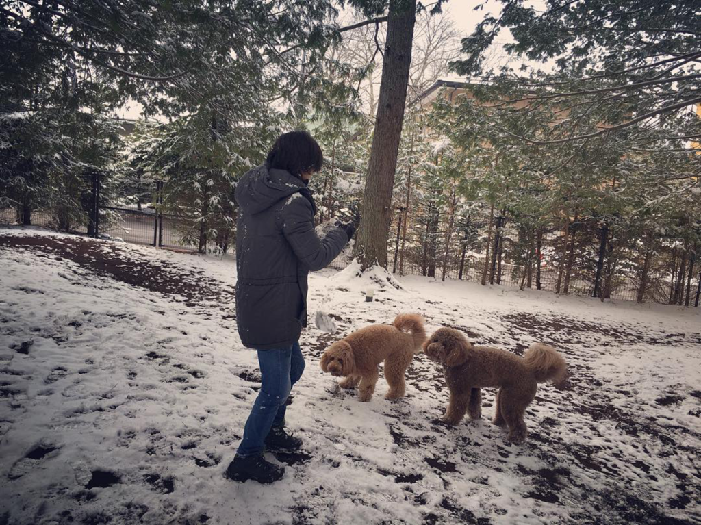 B'z公式Instagramに投稿された稲葉浩志と愛犬の写真