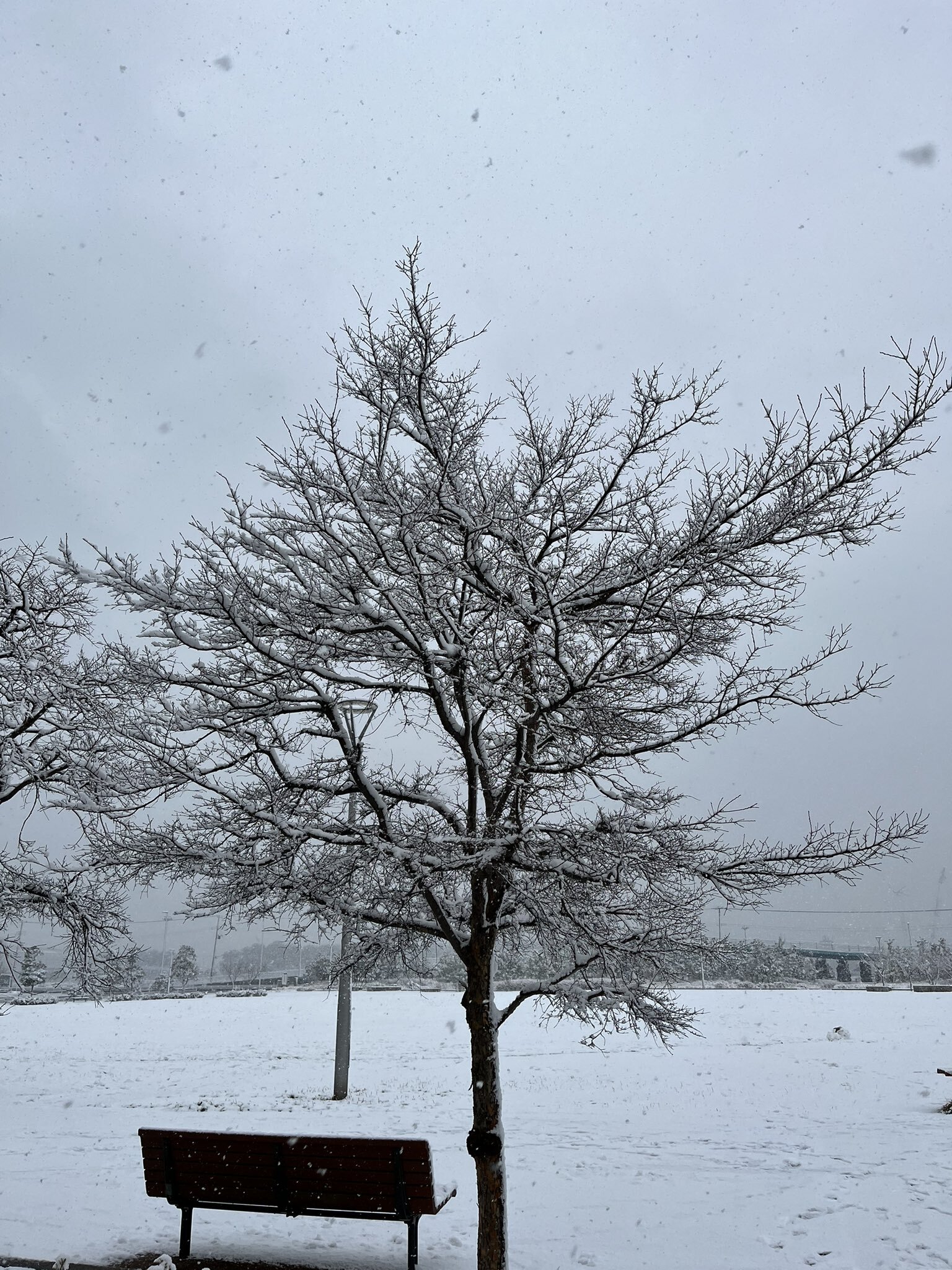 小杉竜一がB'z「FRIENDS」シリーズを引き合いに出した、雪模様を撮影したTwitter投稿の写真
