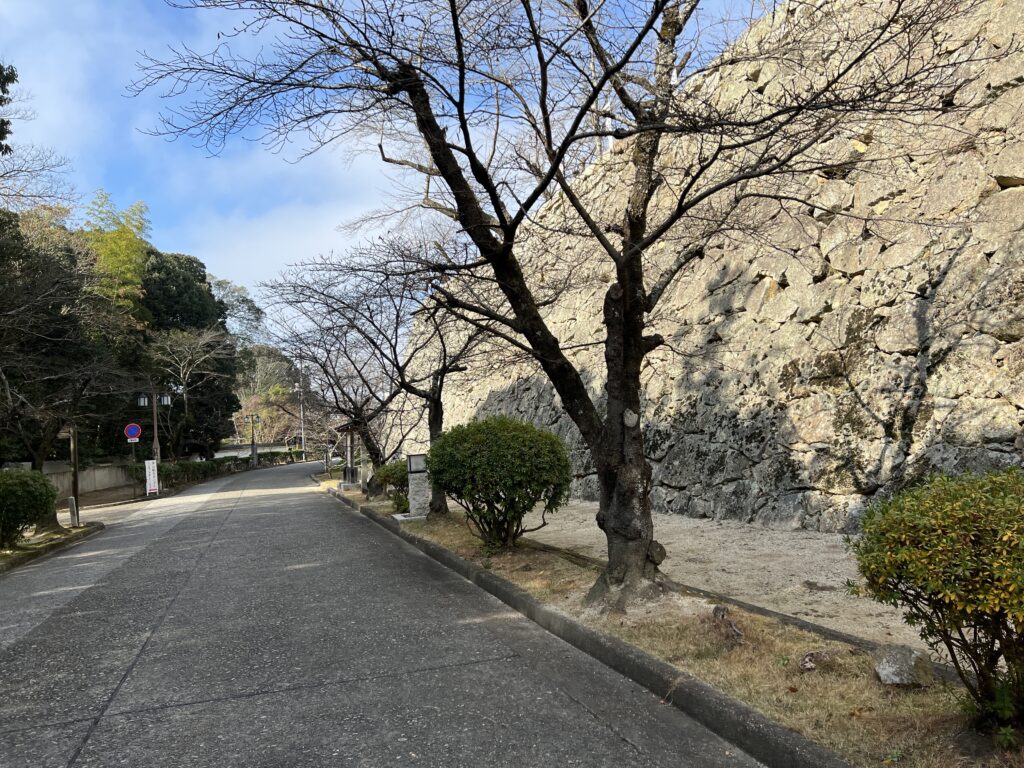 津山市の鶴山公園の石垣