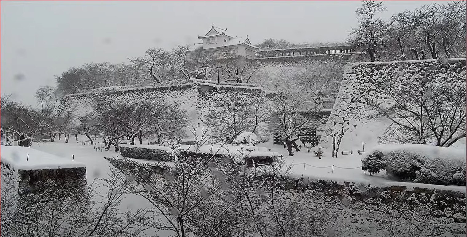 岡山県津山市の津山城（鶴山公園）ライブカメラで豪雪が降る様子の画像