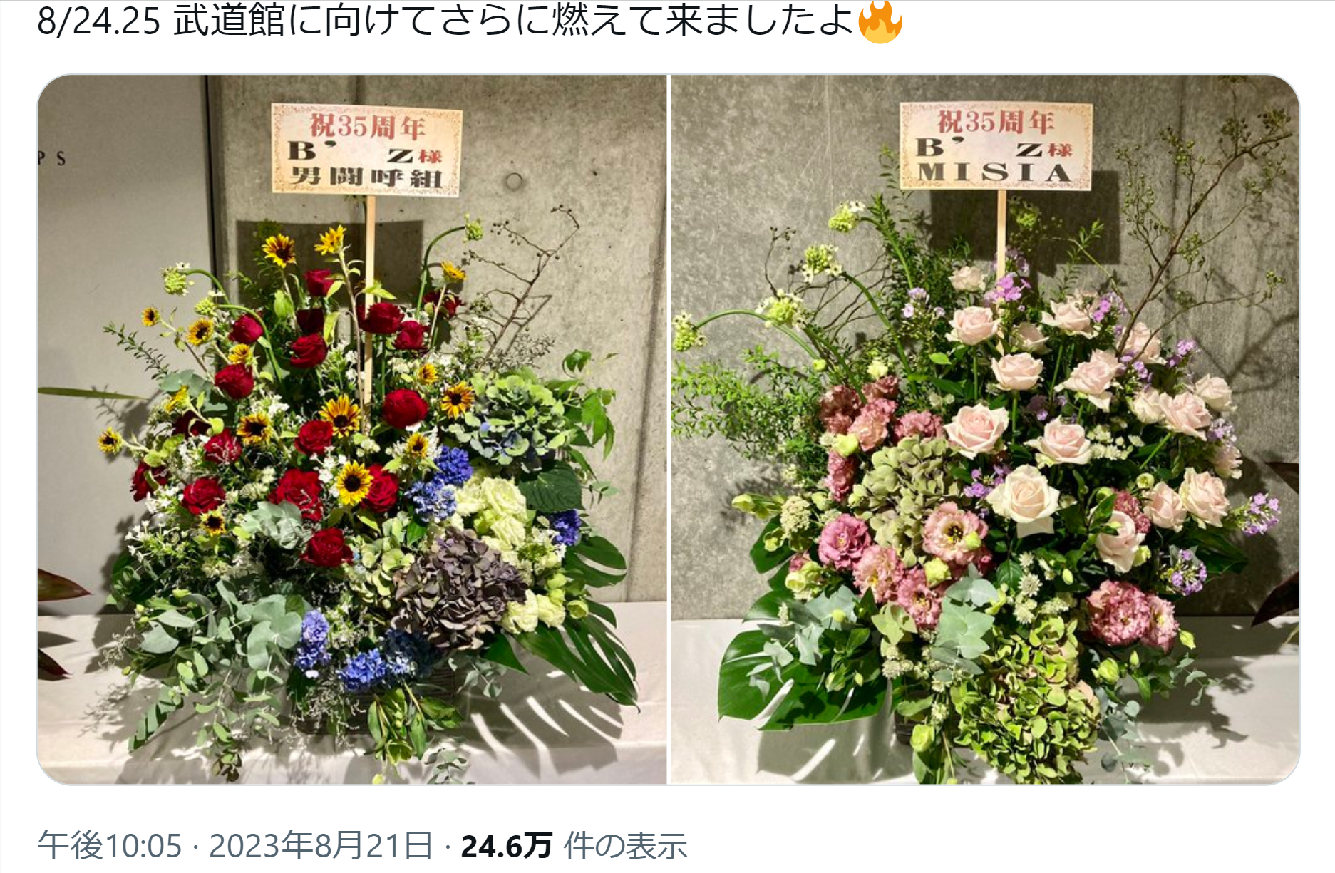男闘呼組とMISIAが『B'z LIVE-GYM Pleasure 2023 -STARS-』に贈った祝花