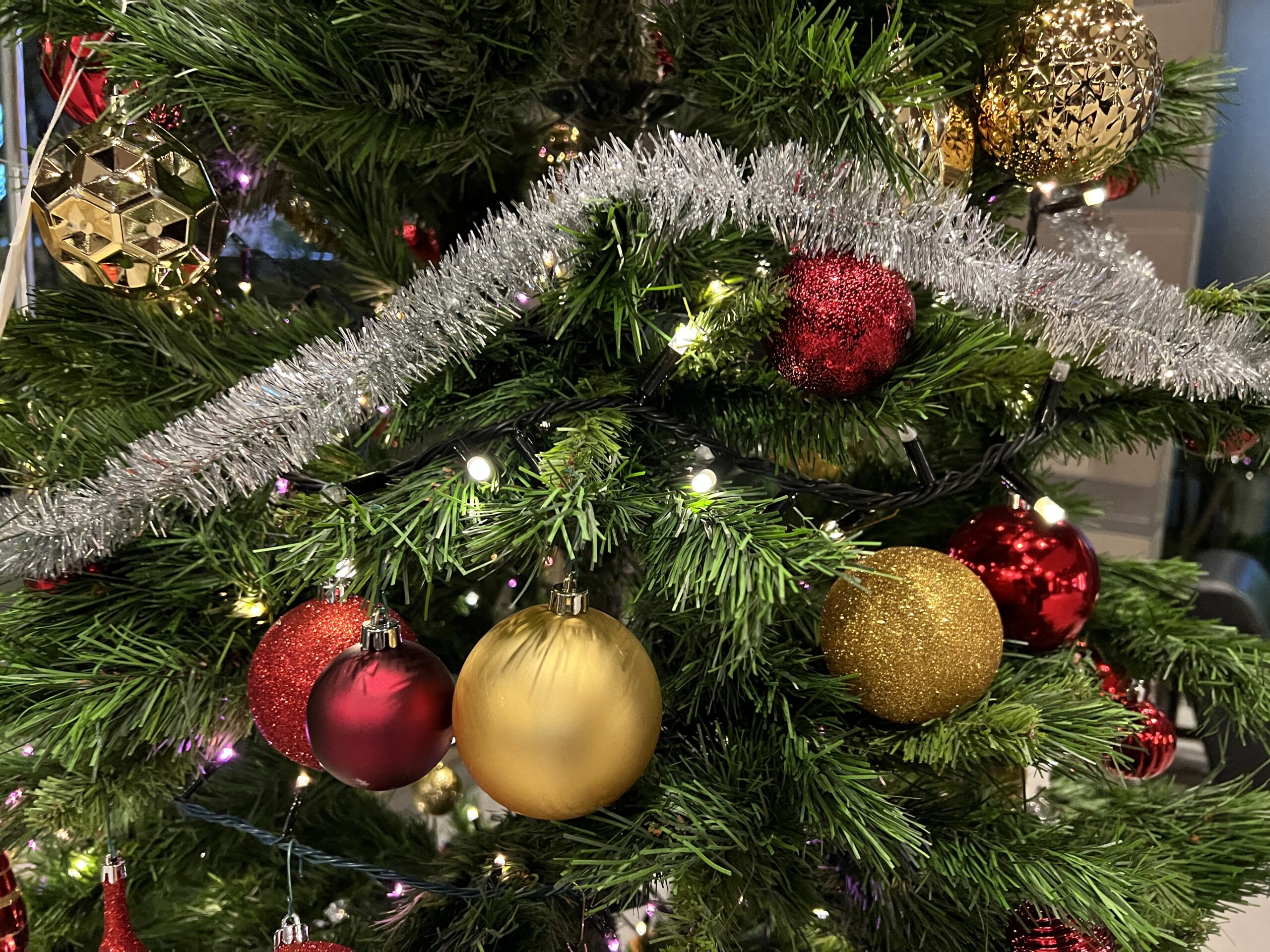 クリスマスツリーのイメージ画像